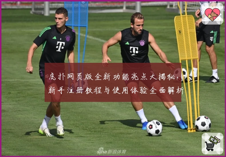 虎扑网页版全新功能亮点大揭秘，新手注册教程与使用体验全面解析