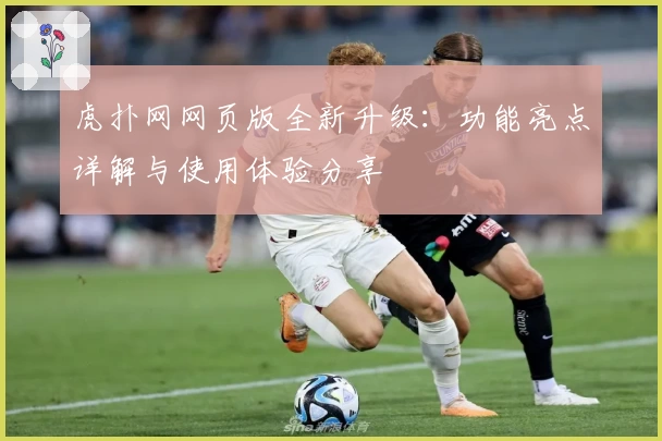 虎扑网网页版全新升级：功能亮点详解与使用体验分享