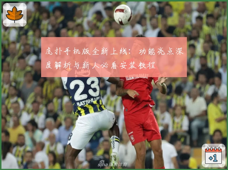 虎扑手机版全新上线：功能亮点深度解析与新人必看安装教程