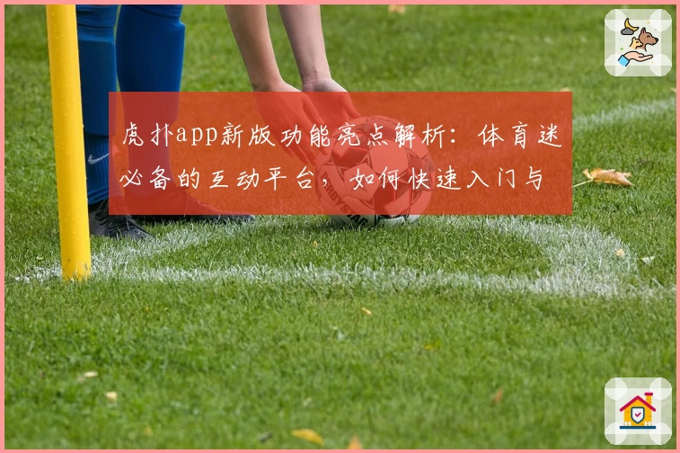 虎扑app新版功能亮点解析：体育迷必备的互动平台，如何快速入门与注册教程详解